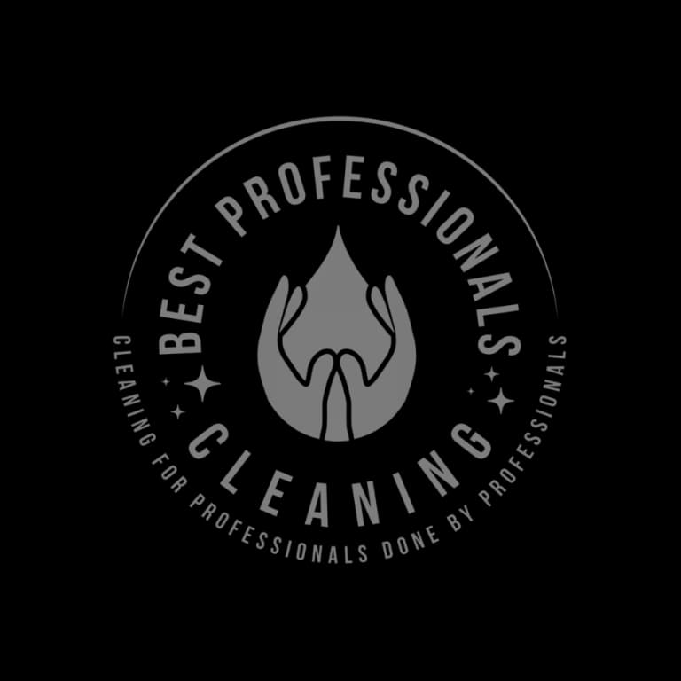 Best Professional Cleaners